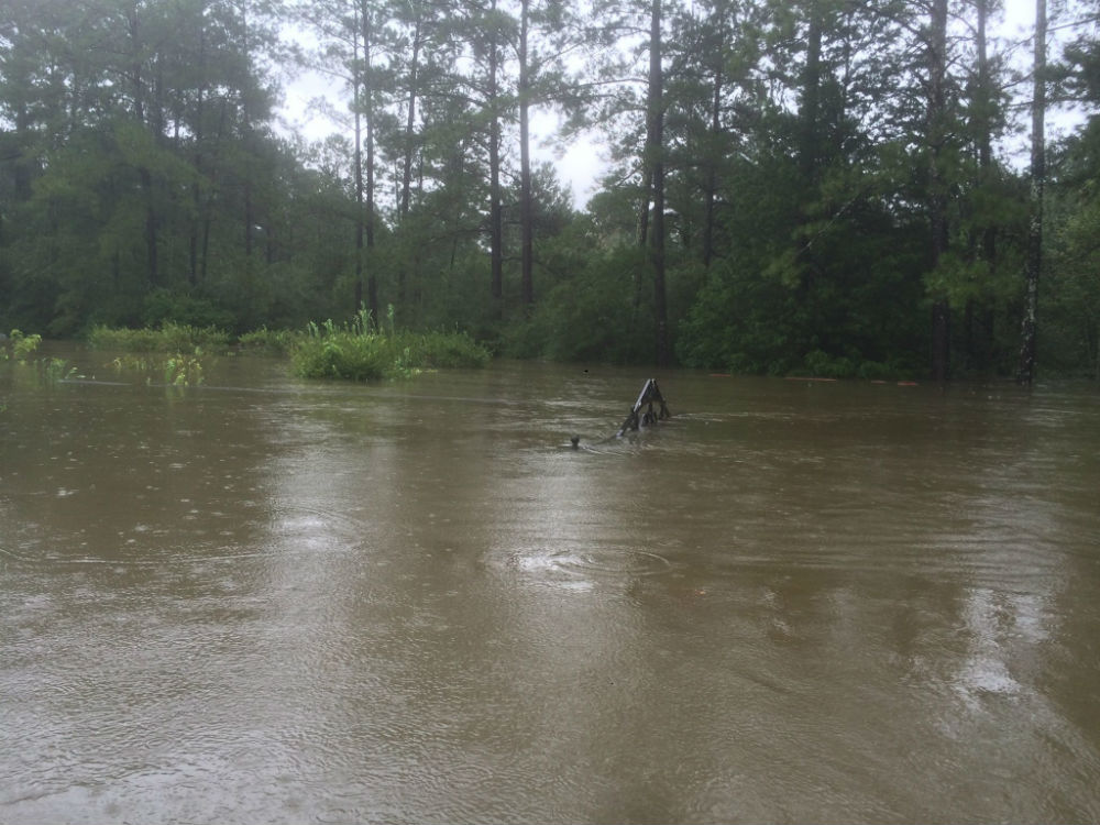 TONY PERKINS HOME FLOOD 1
