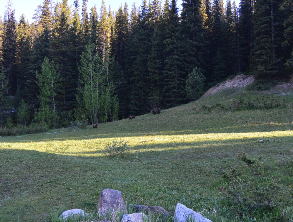 Hiking Lake Louise with a Toddler